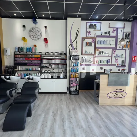 La zona de lavado, las estanterías de color y producto y la recepción con el logo de Al Pelo